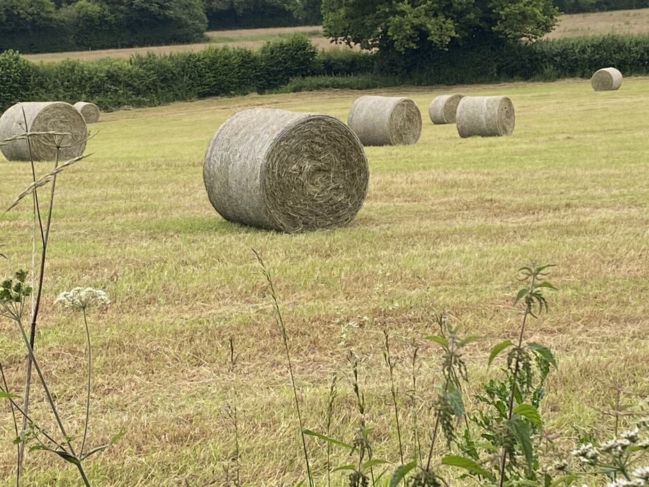 Built to Pass On, Not Built to Sell: What Hay Bales Taught Me About Two Different Businesses