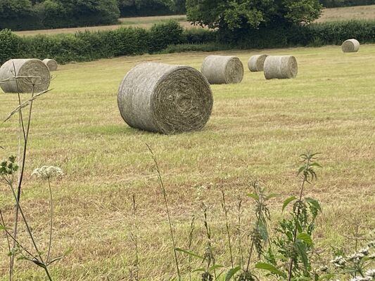 Built to Pass On, Not Built to Sell: What Hay Bales Taught Me About Two Different Businesses