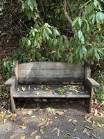 Why Role Clarity Prevents Family Conflict