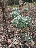 Agreement Isn’t Always Alignment